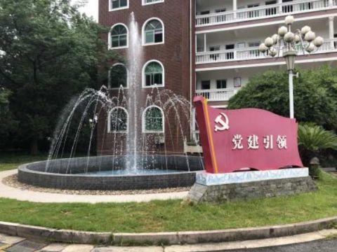 加强青年教育引领研究，力促学习载体再优化