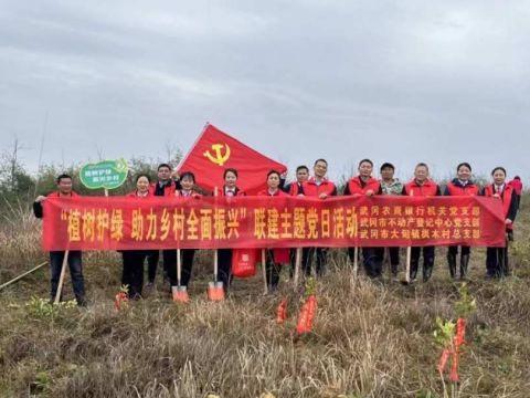 湖南武冈农商银行：以“党建红”引领“生态绿”，植树增绿护青山