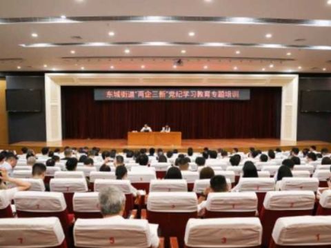 党建荣誉｜众一慈善党支部书记郑乃清被评为2023年度东莞市东城街道“五好”党组织书记