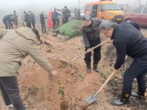 江西新干县：播种绿色希望 共建美丽家园