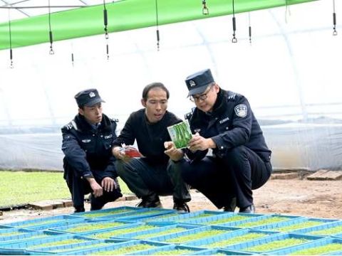 金城卫士的"春耕日记"：田间地头写满藏蓝温度