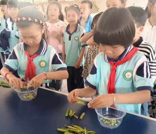 江西信丰县第八小学举办劳动技能大赛活动