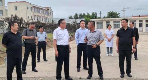 调研指导强根基  协同发展促提升