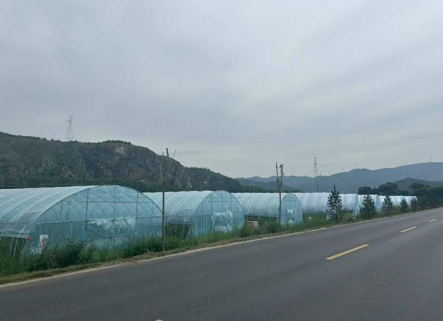 华北石化公司持续筑牢乡村振兴产业根基