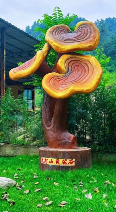 河北：先医堂太行山灵芝示范园项目入库省级平台
