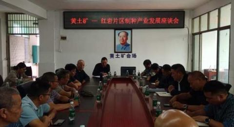 湖南绥宁县黄土矿红岩两镇共商片区制种产业发展大计