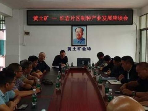 湖南绥宁县黄土矿红岩两镇共商片区制种产业发展大计