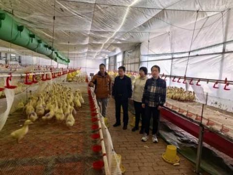 实心人办贴心事 幸福路铺致富村