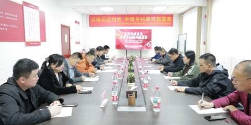 河北正定：从塔元庄出发，书写乡村振兴新篇章