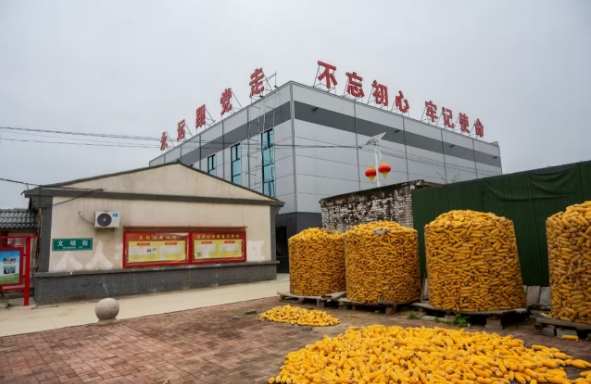 黑山村的红色传承：李玉生的乡村振兴之路