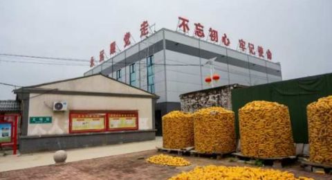 黑山村的红色传承：李玉生的乡村振兴之路