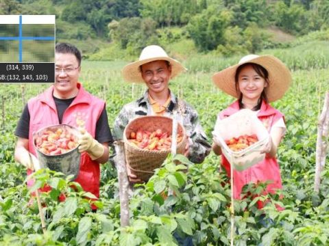 人才赋能云南勐往乡按下乡村振兴&ldquo;快捷键&rdquo;