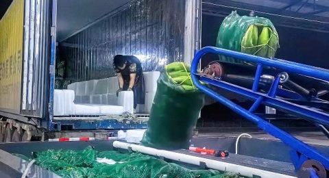 &ldquo;农业大镇&rdquo;冬季蔬菜产销两旺沃野&ldquo;冬藏&rdquo;变&ldquo;冬旺&rdquo;