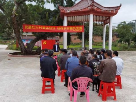 江西信丰县正平镇：以人才振兴撬动乡村全面振兴