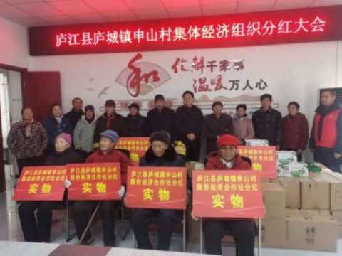 安徽庐城镇申山村：党建引领聚合力 多元发展促振兴