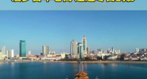 青岛市南区四大亮点活动邀您春节相聚青岛漫步百年老街邂逅冬日鸥影