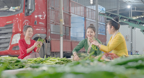 红色引擎驱动冬农旺 边境沃土孕育致富果&mdash;&mdash;云南勐伴镇以党建引领激活冬季农业增收密码