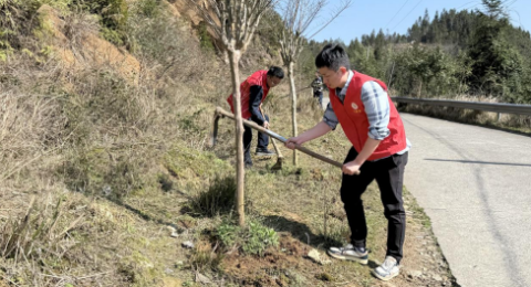 湖南洞口县渣坪乡：精心管护促成长&nbsp;&nbsp;修枝施肥添生机