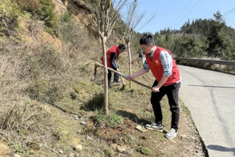 湖南洞口县渣坪乡：精心管护促成长&nbsp;&nbsp;修枝施肥添生机