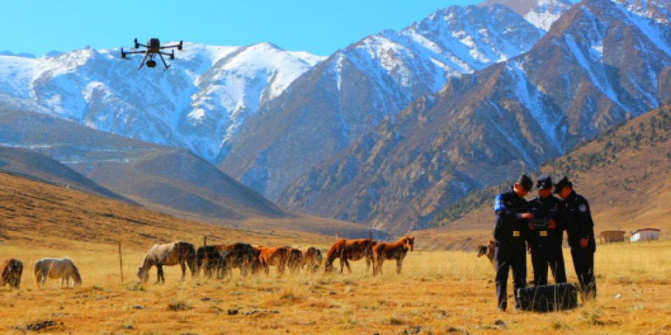 甘肃肃南：生态警务守护祁连山和美新景