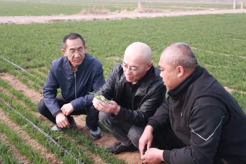 河北乐亭丨奏响“三部曲”绘就“春耕图”