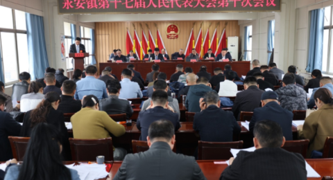 山东枣庄市永安镇召开第十七届人民代表大会第十次会议