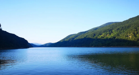 云南勐海勐往：一江碧水绕新村 野谷稻香映振兴