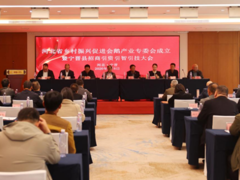 河北省乡村振兴促进会鹅产业专委会在宁晋成立