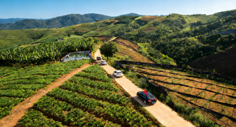 小基建&nbsp;大台阶：傣乡振兴步步高