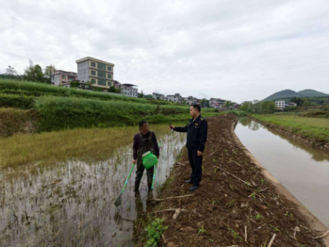 湖南武冈市秦桥镇：常态化巡查严打非法捕捞 筑牢水域生态安全防线
