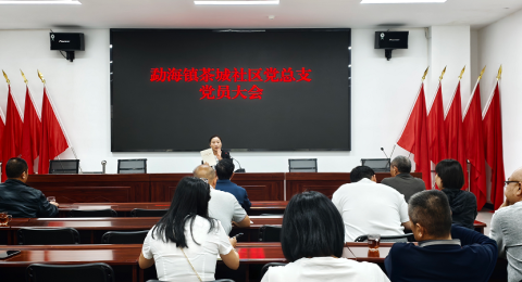 讲好&ldquo;接地气&rdquo;党课，筑牢政绩观根基