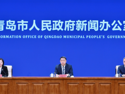 定了！2026年青岛市政府立法工作计划公布，这些领域是重点