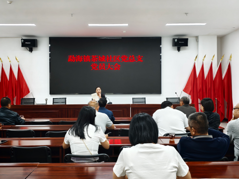 讲好&ldquo;接地气&rdquo;党课，筑牢政绩观根基