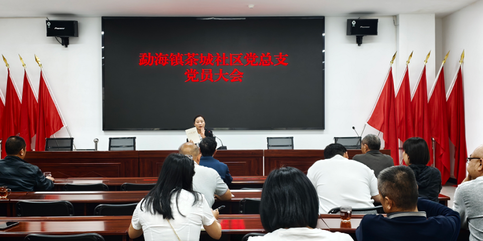 讲好&ldquo;接地气&rdquo;党课，筑牢政绩观根基