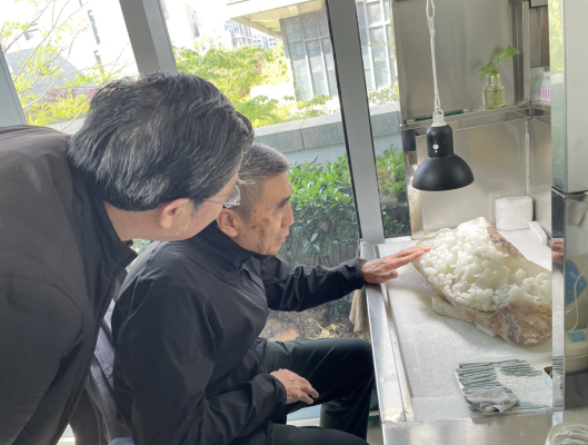 徐念沙赴袁嘉骐艺术馆调研 强调坚守手工制作核心地位