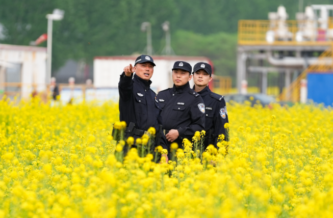 冀中公安丨车守岩：灿灿菜花黄 万里护油忙