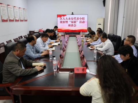 枣庄市中区人大永安镇代表小组开展视察暨&ldquo;双联&rdquo;活动