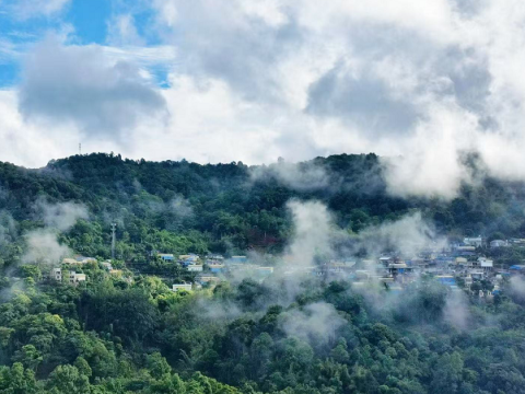 云南勐海县格朗和乡：十万亩茶山，一条正在&ldquo;宽&rdquo;起来的致富路