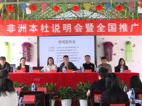非洲&ldquo;本杜&rdquo;为乡村产业振兴注入新动能