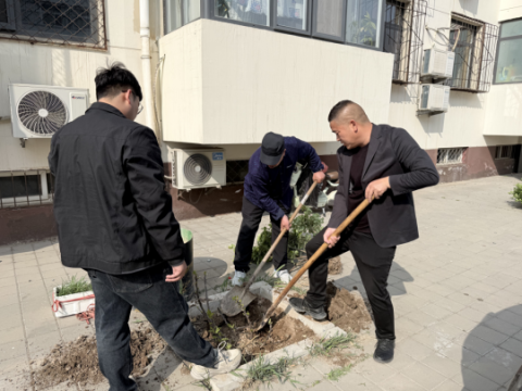 河北沧州丨兴元社区：绿化添新绿 老旧更宜居