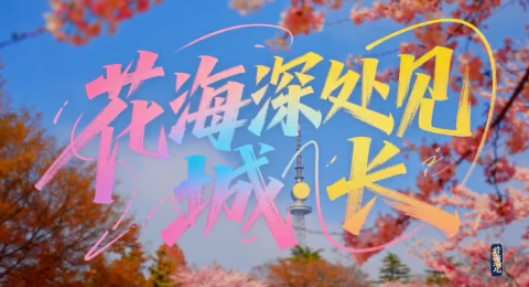 花海市南，漫享春光