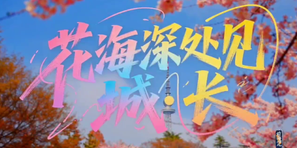 花海市南，漫享春光