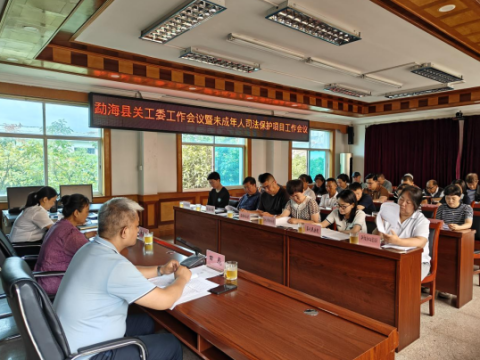 云南勐海县召开全县关工委工作会议暨未成年人司法保护项目工作会议