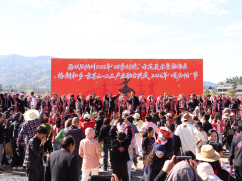 红色引擎驱动茶绿生金&mdash;&mdash;云南勐海县格朗和乡以党建领航茶旅融合，绘就边疆富民新画卷