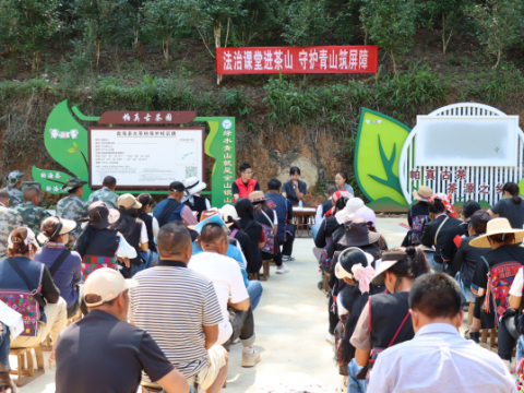 茶乡新风起 文明润心田&mdash;&mdash;云南勐海县格朗和乡党建引领乡风文明建设实践