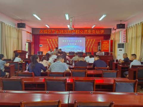 湖南省邵阳市大祥区罗市镇：党建引领&ldquo;阳光交易&rdquo;激活沉睡资源新动能&mdash;&mdash;邵阳市大祥区罗市镇举办培训为乡村振兴注入&ldquo;红色引擎&rdquo;