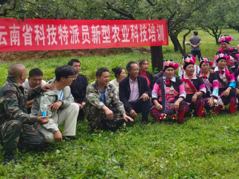 云南文山市：党建引领&ldquo;梨&rdquo;想路 山乡蝶变满目新