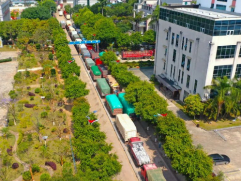 边民变股东 &nbsp;资源变产业&mdash;&mdash;云南镇康把党组织建在边贸产业链上