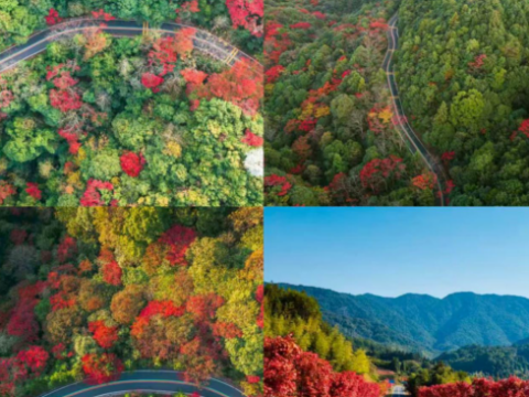 借势环鄱精品赛事 赋能三百山文旅融合高质量发展