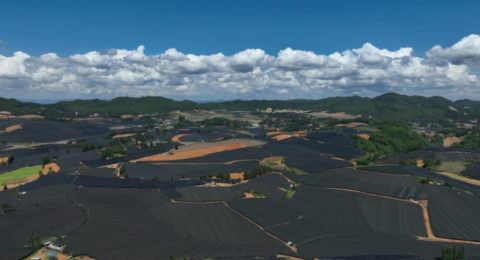 党建引领兴产业&nbsp;&nbsp;金&ldquo;药&rdquo;匙打开致富路